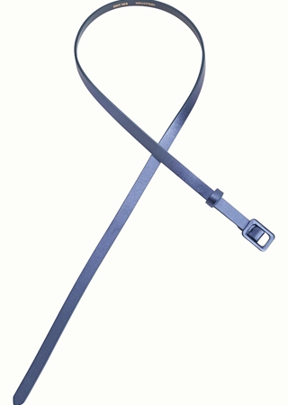 Cinturón Brillante - Imagen 1