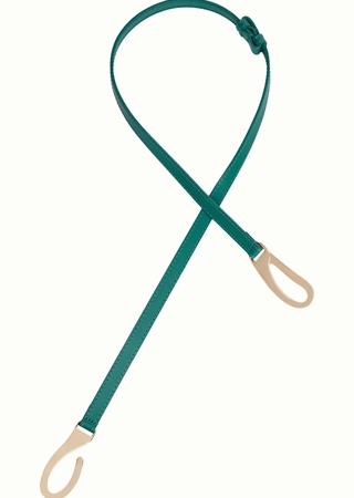 Cinturón Elegante - Imagen 1